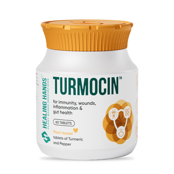 Turmocin Tablets with Goodness of Turmeric I 60 Tablets