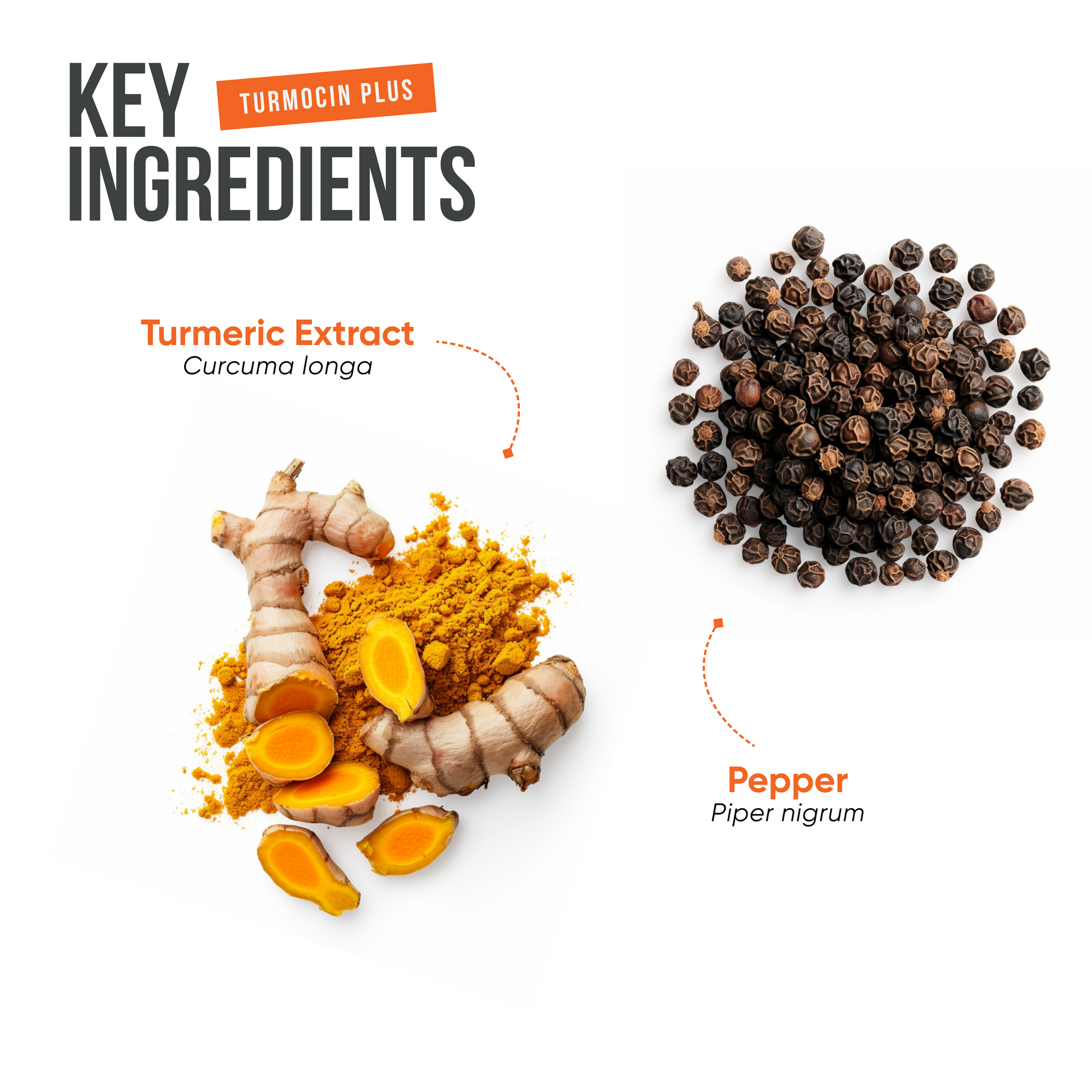 Discover the Ayurvedic ingredients in Turmoshin Plus