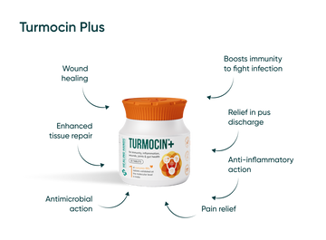 Turmocin Plus Tablet For Boosting Immunity